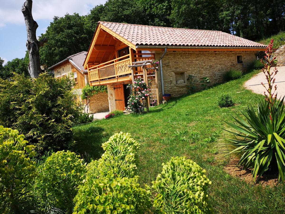 Chalet Le Clos De L'Orme Saint-Lattier Ngoại thất bức ảnh