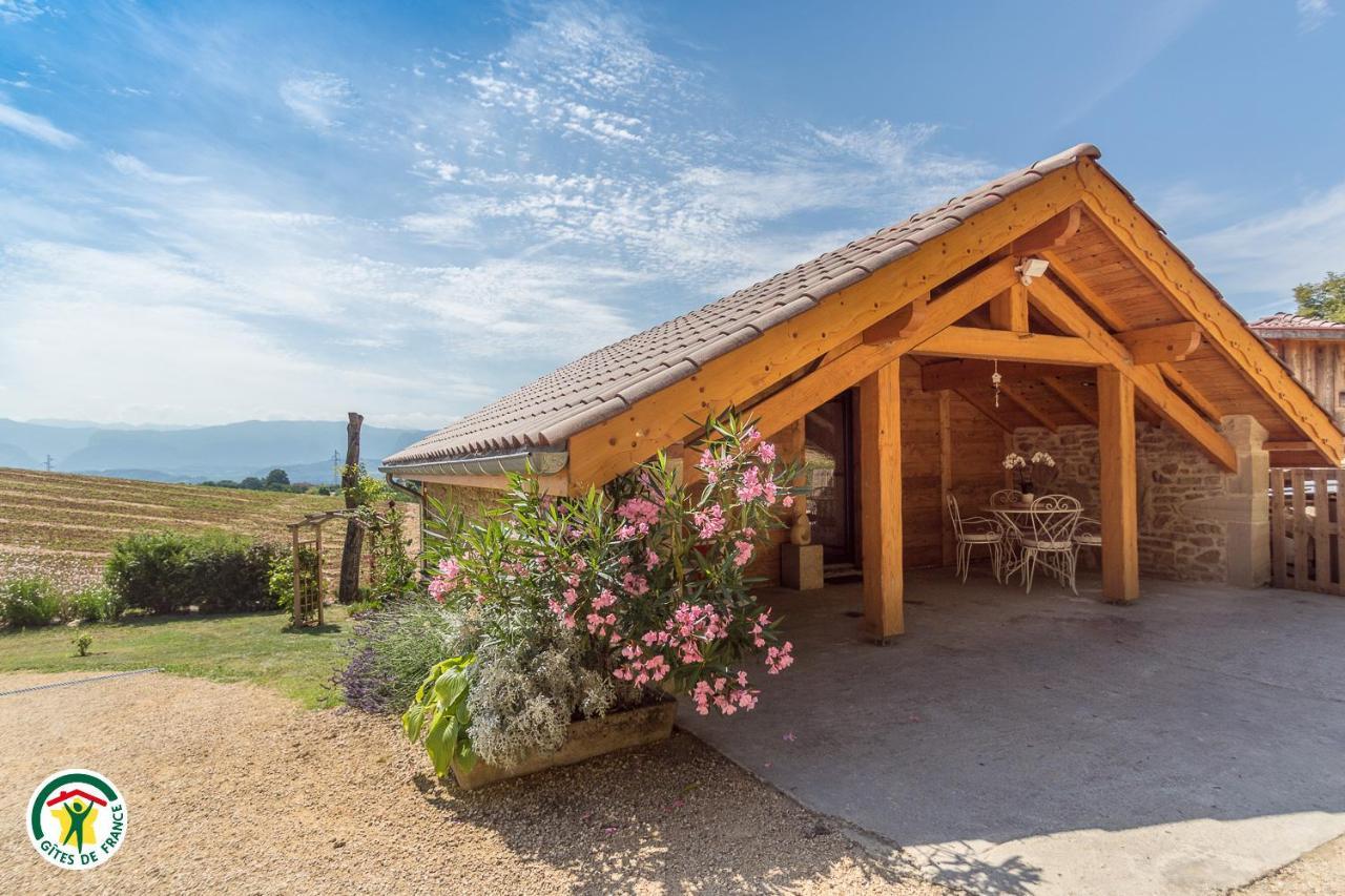 Chalet Le Clos De L'Orme Saint-Lattier Ngoại thất bức ảnh