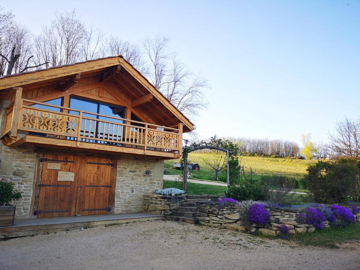 Chalet Le Clos De L'Orme Saint-Lattier Ngoại thất bức ảnh